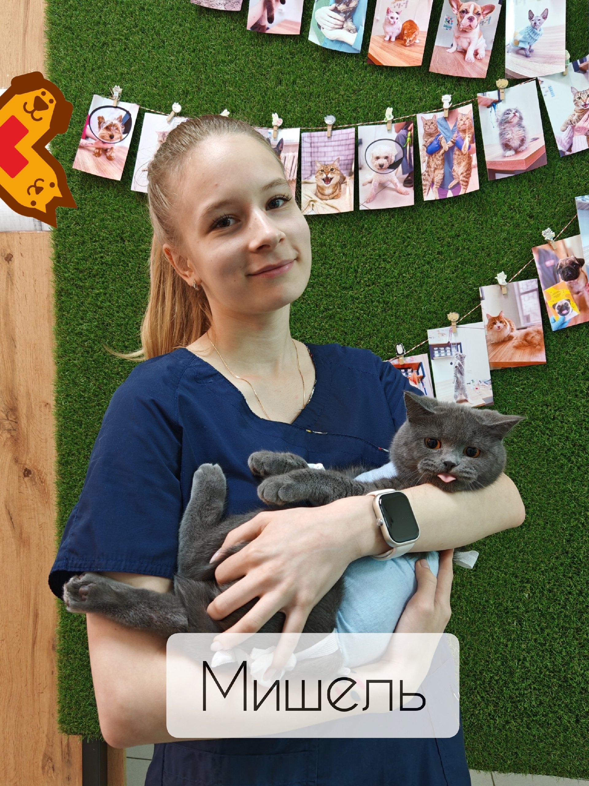 Кошечка Мишель после стерилизации в филиале на Солдатова 17 🐾