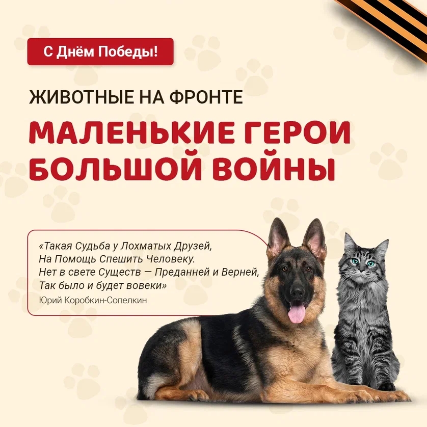 Новость VK #5120