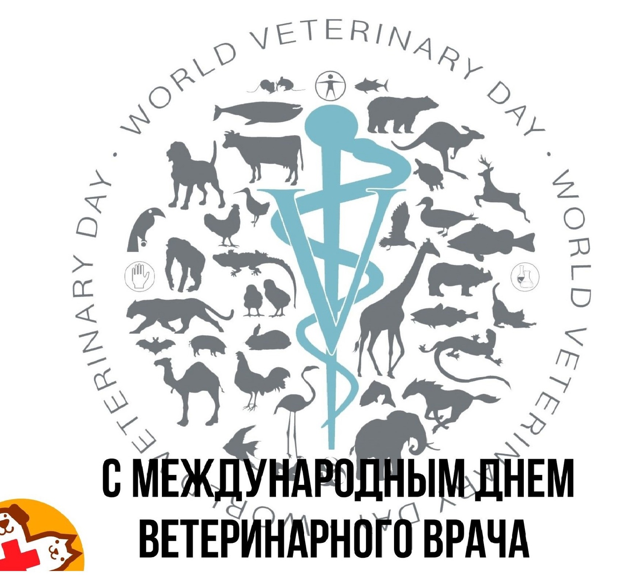 Международный день ветеринарного врача картинка символ
